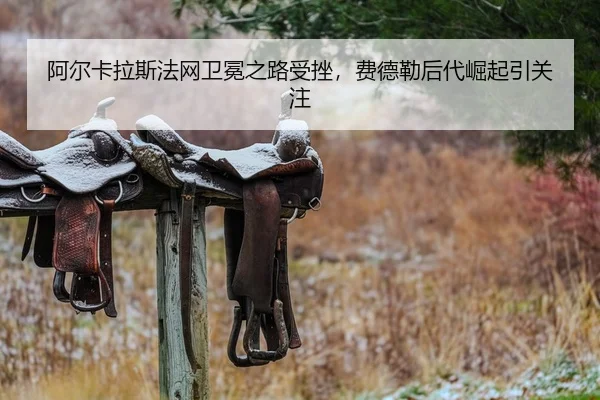 a-er-ka-la-si-fa-wang-wei-mian-zhi-lu-shou-cuo-fei-de-lei-hou-dai-jue-qi-yin-guan-zhu-2-243.jpg