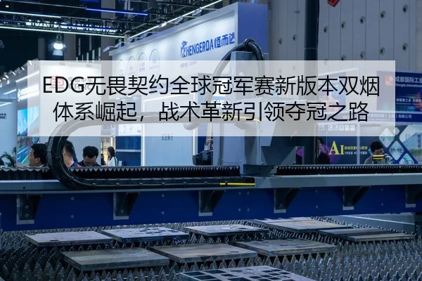 EDG无畏契约全球冠军赛新版本双烟体系崛起，战术革新引领夺冠之路